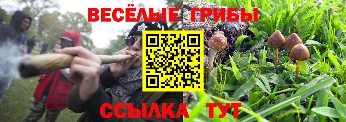 Галлюциногенные грибы Psilocybe  Вход с VPN  Псилоцибиновые грибы Psilocybe  Рубцовск 