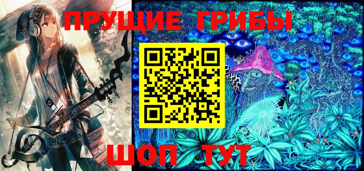 Псилоцибиновые грибы Cubensis Рубцовск